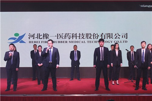 正青春、展芳华——德盛集团2019迎新春文艺汇演(图3)